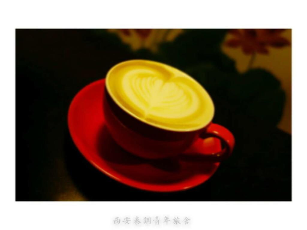 Xi'An Qindiao Youth Hostel Tây An Ngoại thất bức ảnh
